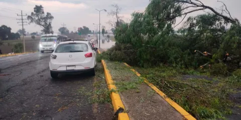 Granizada derribó árboles, provocó apagones y daños al campo en la región de Texmelucan