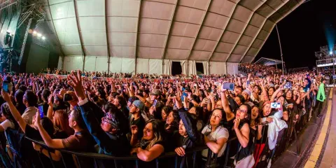 Una pena inventar y clonar accesos para la Feria de Puebla