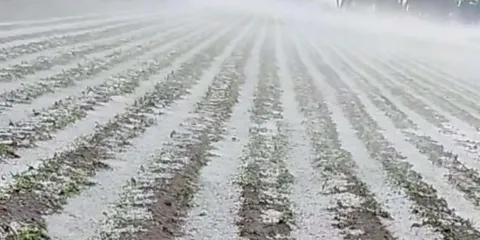 Granizadas afectan cultivos en Puebla: reportan 170 hectáreas dañadas en la región