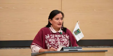 El PT indeciso en su voto por el tema de las infancias y adolescencias trans 
