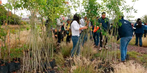 Agua de Puebla impulsa “Arbolitros 2026” con jornadas de reforestación y apoyo a causas sociales