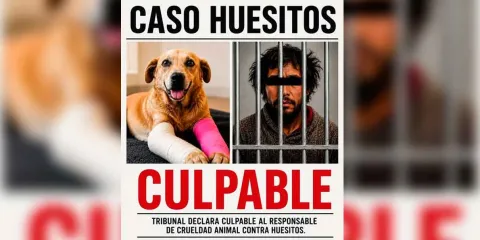 Declaran culpable a “El Colamochas” por crueldad animal contra Huesitos en Puebla