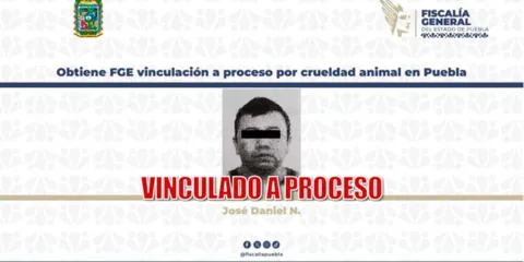 Vinculan a proceso a hombre acusado de atropellar intencionalmente a perro en Puebla