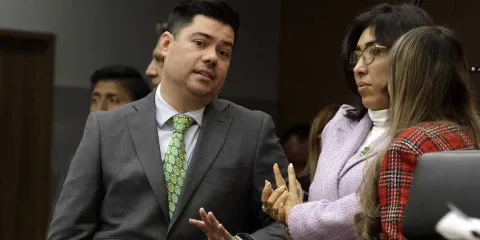 Resultados y bien portados, requisitos para reelegirse en el PVEM 