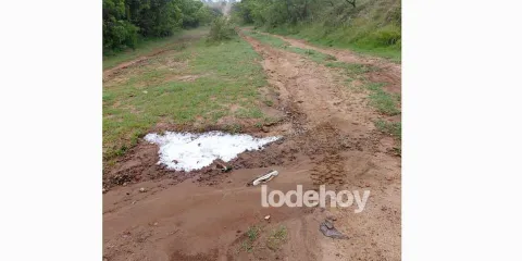 Sellan toma clandestina en Las Dalias, Texmelucan tras operativo de emergencia coordinado