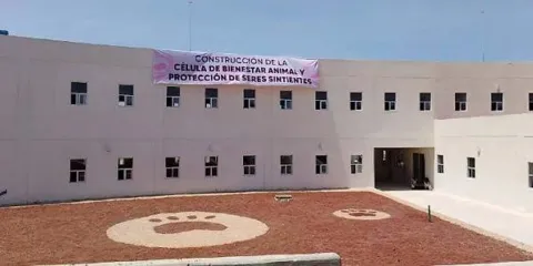 Célula de Bienestar Animal atenderá a más de mil 500 animales en Puebla