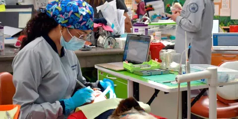 Clínica Pediátrica de Estomatología BUAP ofrece atención dental  para niños con costos accesibles