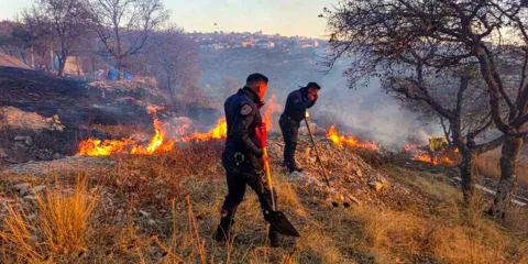 Puebla dentro del top nacional en daños por incendios forestales