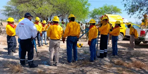 Van 196 incendios forestales en 51 municipios y 6 mil hectáreas dañadas