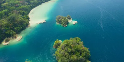 Laguna Miramar, Chiapas: historia maya, naturaleza y el increíble paisaje escondido en la Selva Lacandona