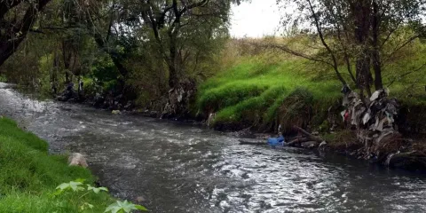 Sheinbaum anuncia 20 mil mdp para sanear ríos contaminados