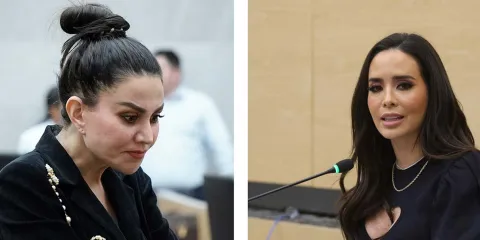 Quiénes son las suplentes de Palomares y Salvatori si piden licencia al Congreso