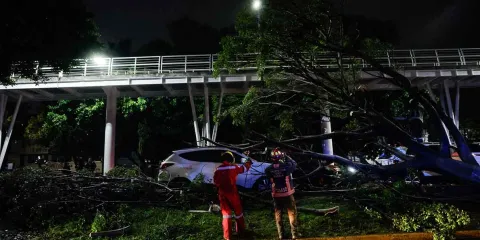 Tormenta deja árbol sobre autos e inundaciones en Puebla capital