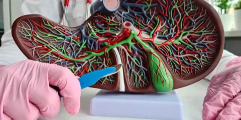 ¿Qué pasa en tu cuerpo cuando te quitan la vesícula? Estos son los cambios