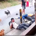 Fatal accidente de motociclistas al conducir a exceso de velocidad en una curva 