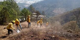 Liquidan incendio forestal en Aquixtla, pero inicia otro en Flor del Bosque