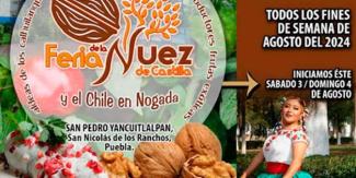 Feria de la Nuez y Chile en Nogada en San Pedro Yancuitlalpan