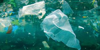 Bolsas de plástico, grave problema ambiental y Puebla es principal generador