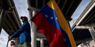 Falla injerencismo de la Organización de Estados Americanos en Venezuela