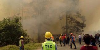 428 incendios forestales en Puebla arrasaron con 19 mil hectáreas arboladas