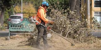 Chedraui supervisa mantenimiento de áreas verdes en Las Hadas