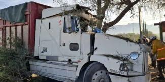 Chofer queda prensado tras estrellarse contra un árbol en la Puebla-Tehuacán