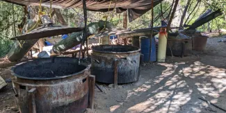 Cárteles mexicanos convierten la metanfetamina en un fenómeno global, alerta la ONU