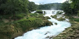 Entre nubes, selva y agua turquesa: descubre las impresionantes Cascadas Las Nubes en Chiapas