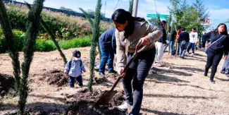 Realiza Lupita Cuautle jornada de reforestación en telesecundaria de la inspectoría Emiliano Zapata