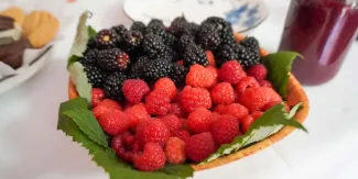 San Diego Buenavista invitó a su séptima Feria de las Berries