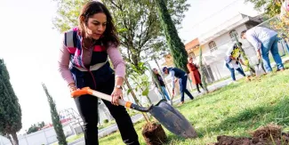 Con la reforestación sembramos un mejor futuro para San Andrés Cholula: Lupita Cuautle