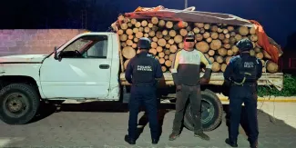 Detienen a cuatro talamontes en Puebla y recuperan madera
