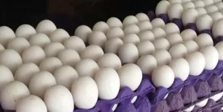 Precio del huevo se dispara y en Puebla llega hasta 70 pesos por kilo