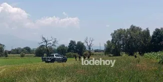 Hallan cadáver decapitado en campos de cultivo de Huejotzingo