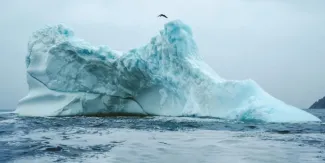 Molly Carlson hace historia al saltar 15 metros desde un iceberg