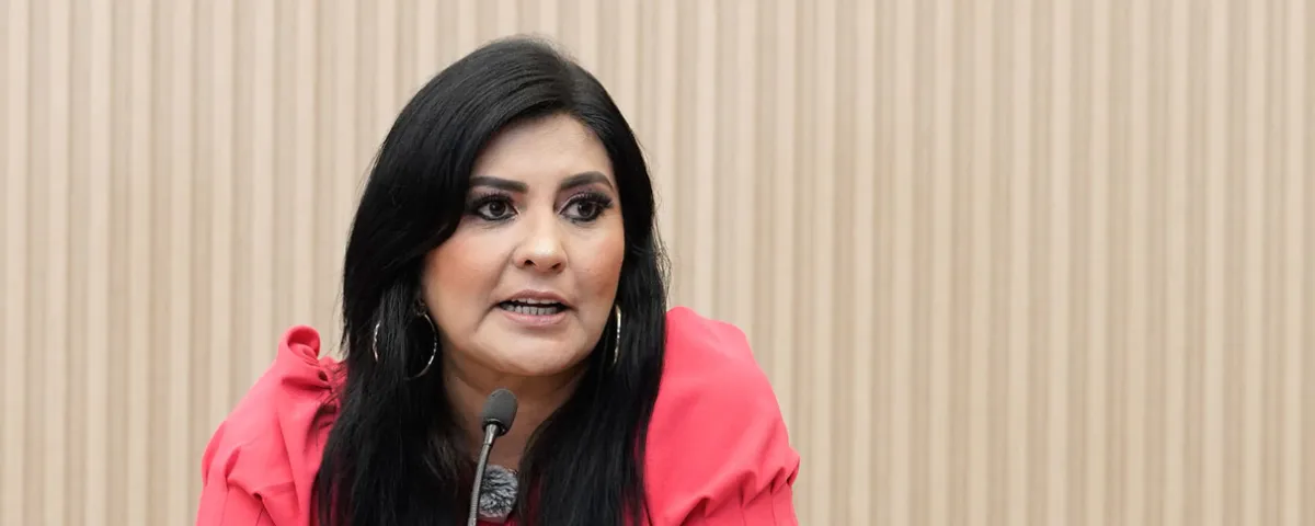 Delfina Pozos quiere ser candidata del PRI y PAN a la alcaldía de Puebla
