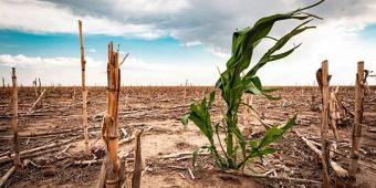 Puebla registra condiciones de sequía extrema en 27 municipios
