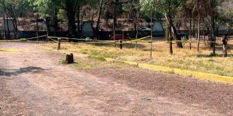 Nuevamente aparece un perrito desollado en Bosque de Nativitas en Xochimilco; suman 24