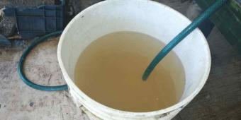 Reportan otro caso de agua contaminada en la CDMX, ahora en la Gustavo A. Madero