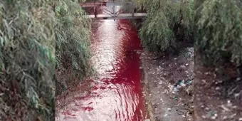 Llegó a Puebla capital sangre o desechos de maquiladoras por el río Atoyac 