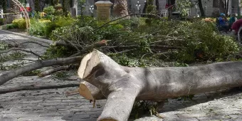 Naturaleza muerta; obras prioridad para Puebla 