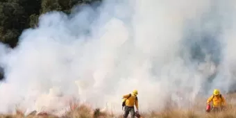 Incendio forestal en Grecia genera evacuación de 35 mil personas 