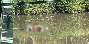 El universitario hallado muerto en el río Atoyac murió a golpes