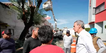 Pepe Chedraui responde a petición vecinal para retiro de un árbol 