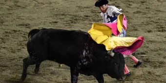 Jaime Natale busca prohibir corridas de toros y peleas de gallos en Puebla