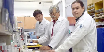 Sintetizan en el ICUAP compuestos para tratar diabetes y cáncer