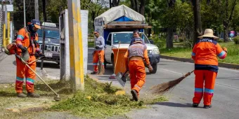 Habrá cambios en horarios de recolección de basura