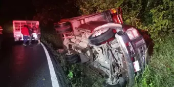 Vuelca camión con cerdos en la Pachuca-Tuxpan