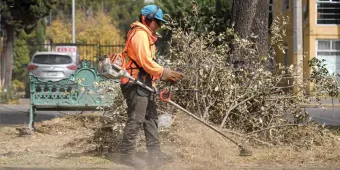 Chedraui supervisa mantenimiento de áreas verdes en Las Hadas