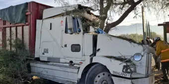 Chofer queda prensado tras estrellarse contra un árbol en la Puebla-Tehuacán